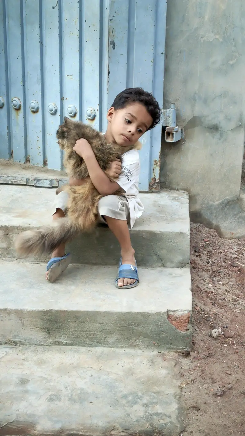 Begher side effect bilkul thek ha — photo 2
