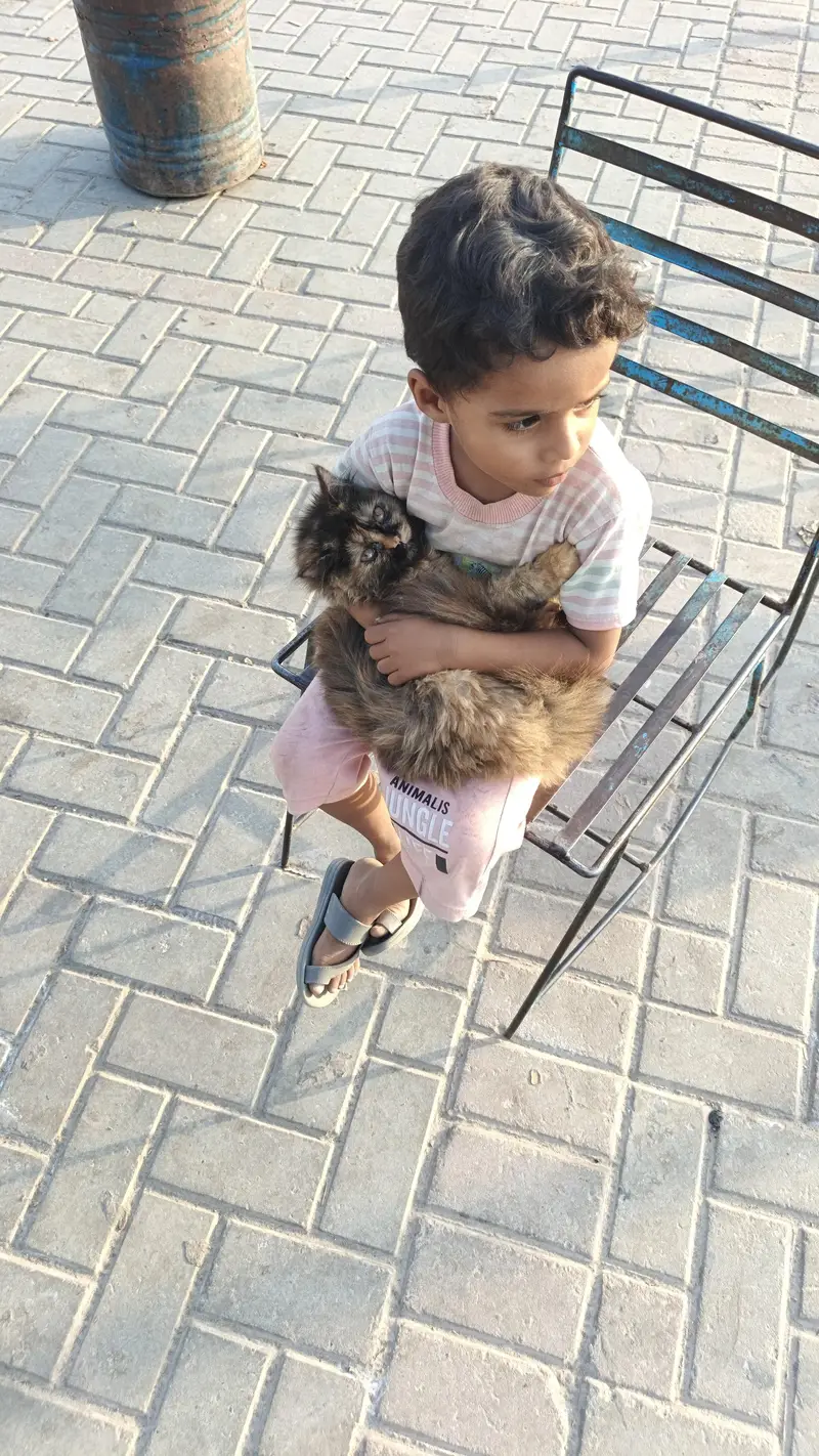 Begher side effect bilkul thek ha — photo 3