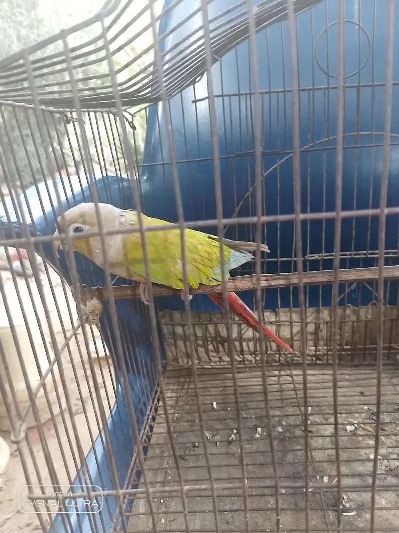 hat par nhi atta — photo 3