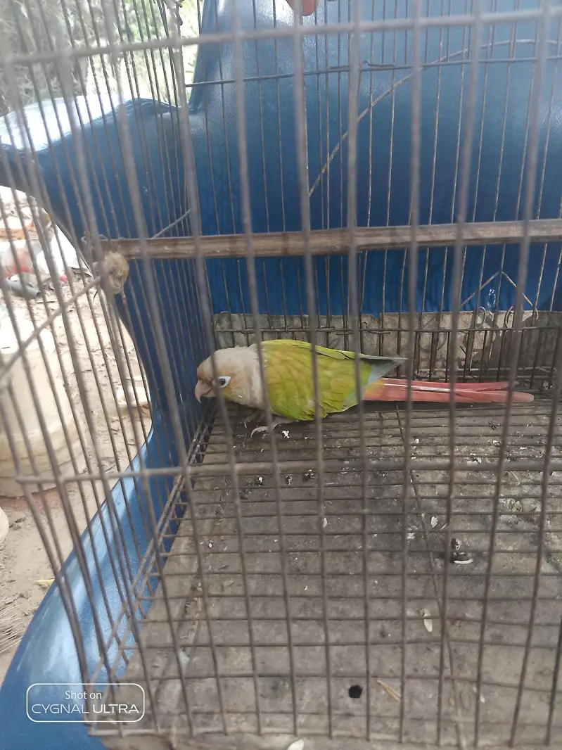 hat par nhi atta — photo 4