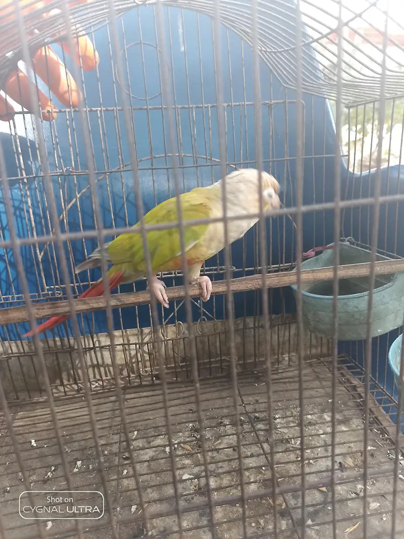 hat par nhi atta — photo 6