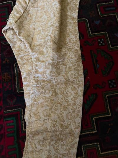 Pure organza mukesh & Dabka Kalidaar