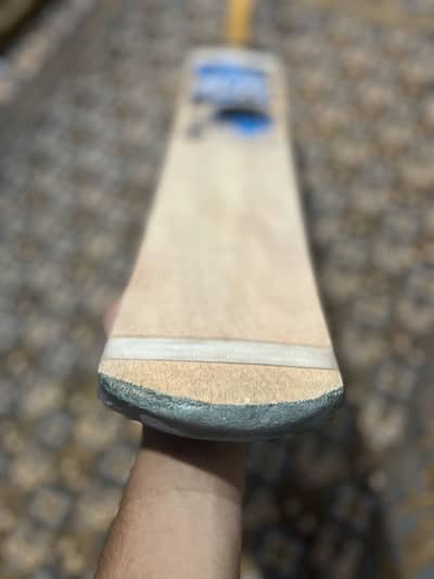 Cricket bat