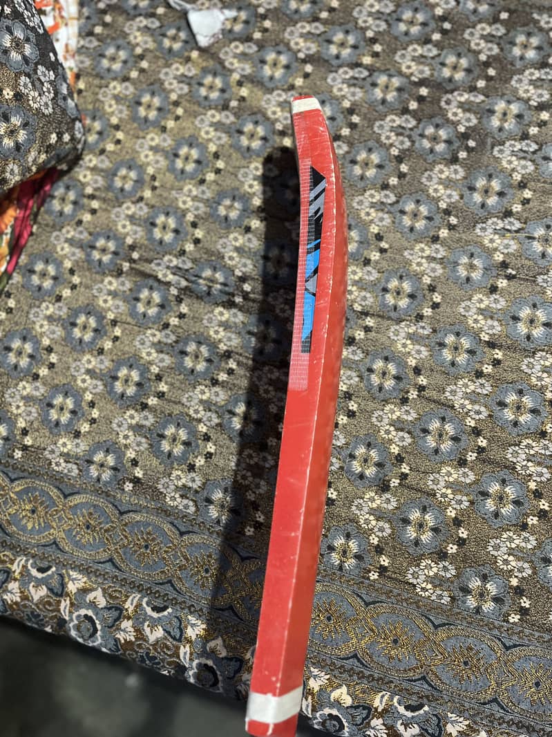 Cricket bat 1