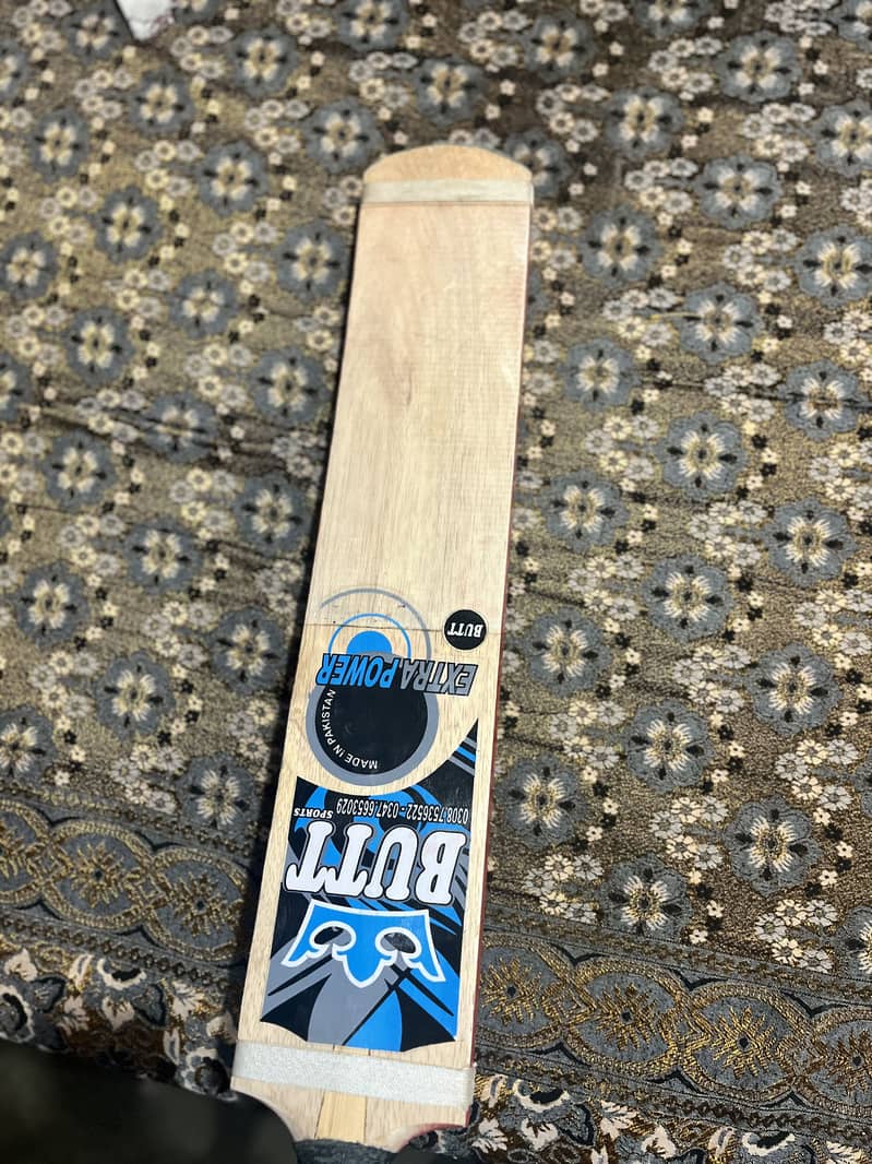 Cricket bat 2