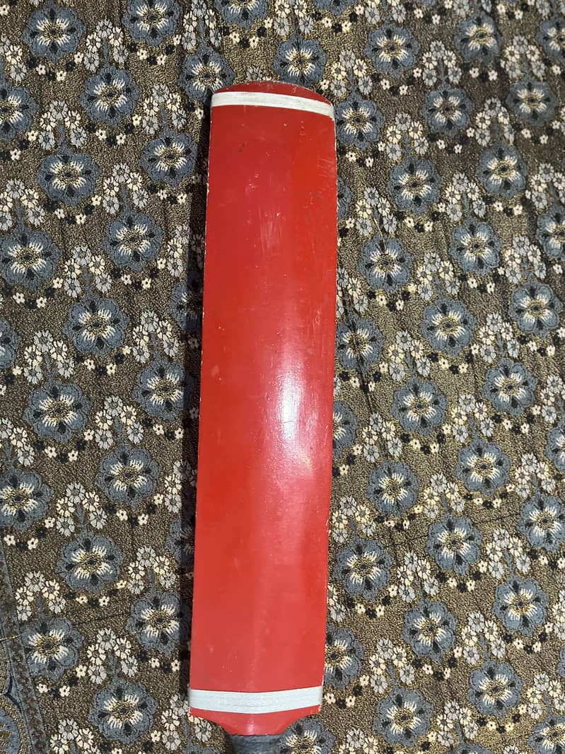 Cricket bat 3
