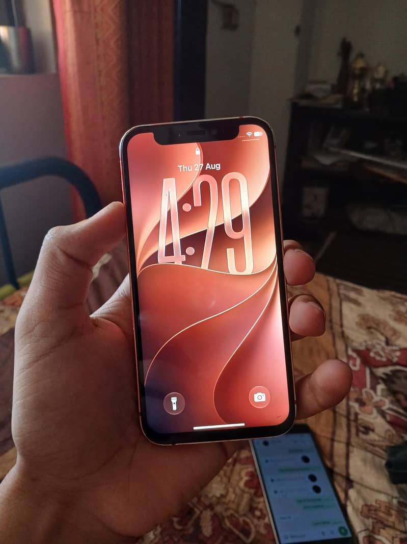 Apple iPhone 12 mini 1