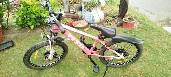 Kids Bicycle
