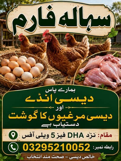 fresh desi eggs 