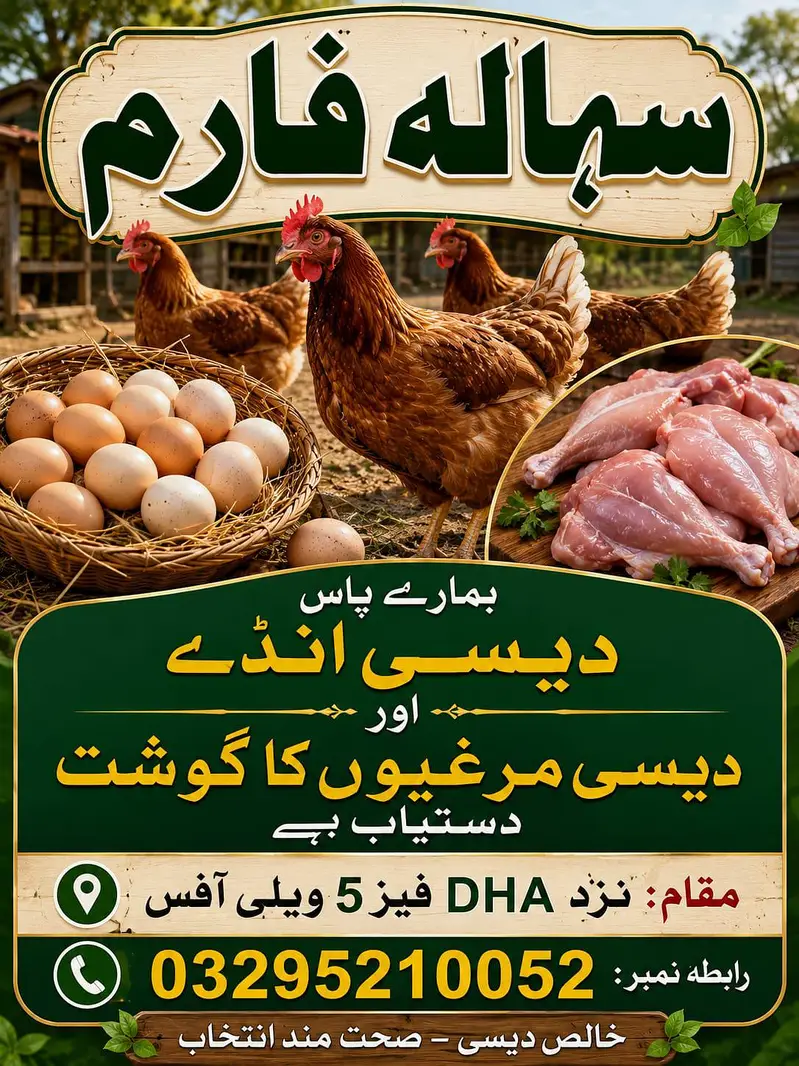 fresh desi eggs 