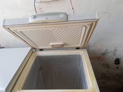 D freezer double door