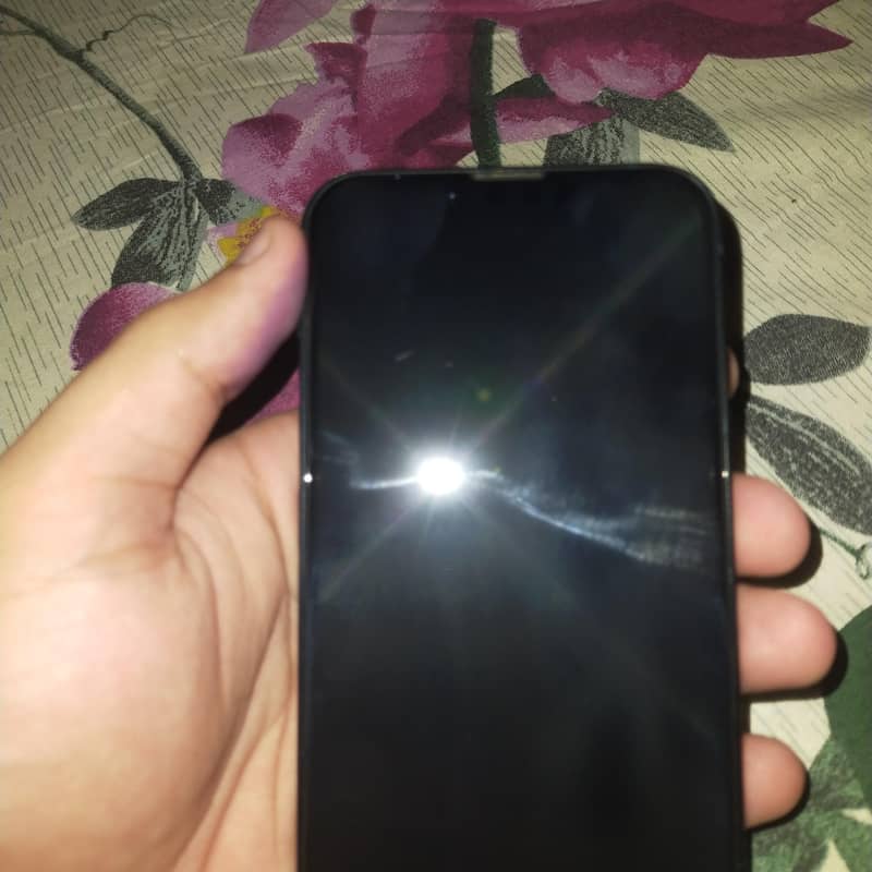 Apple iPhone 13 2