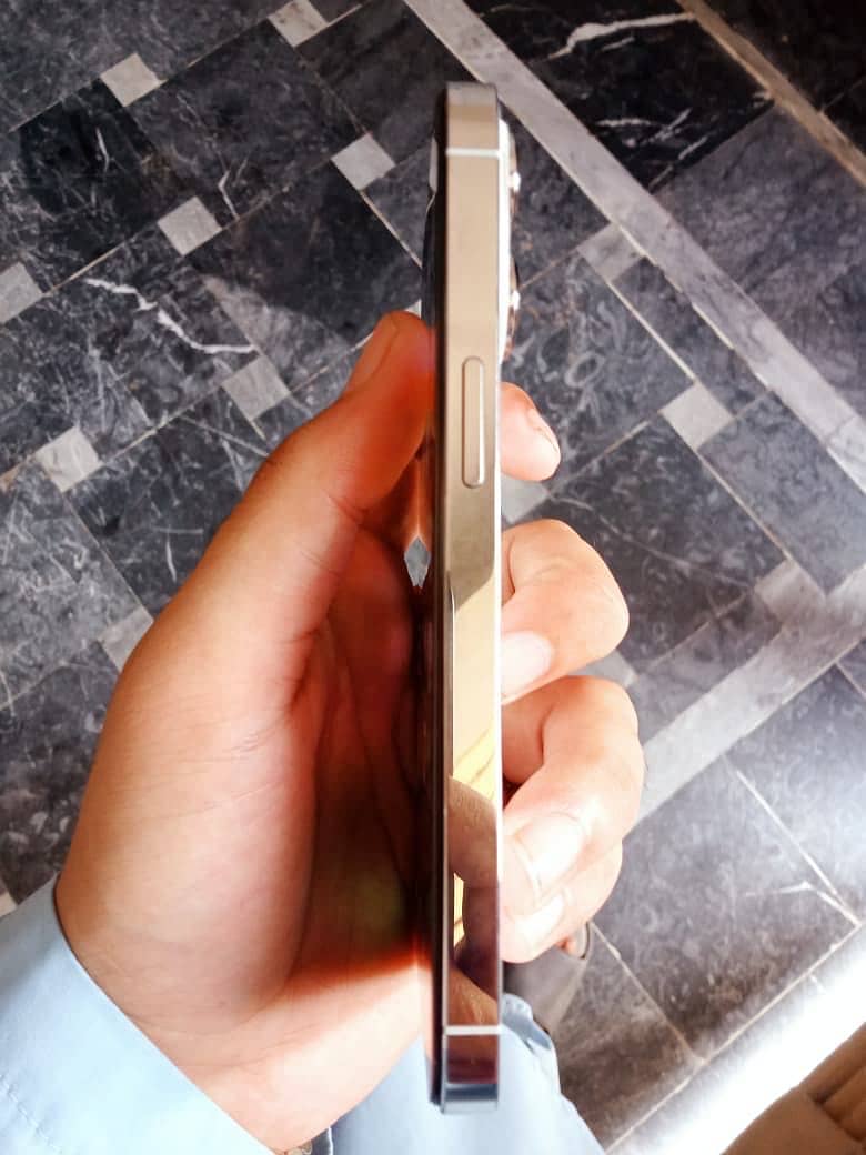 Apple iPhone 13 Pro 2