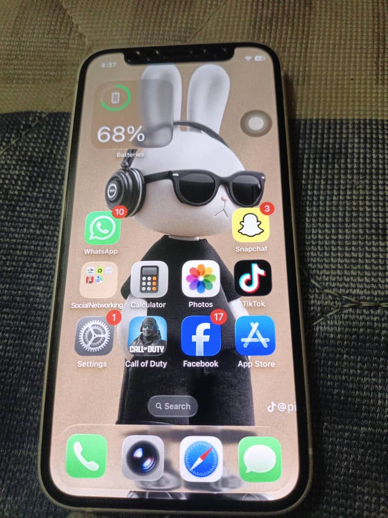 Apple iPhone 12 mini 1