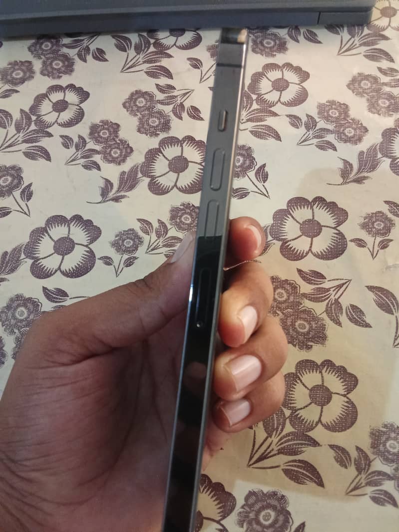 Apple iPhone 13 Pro Max 1
