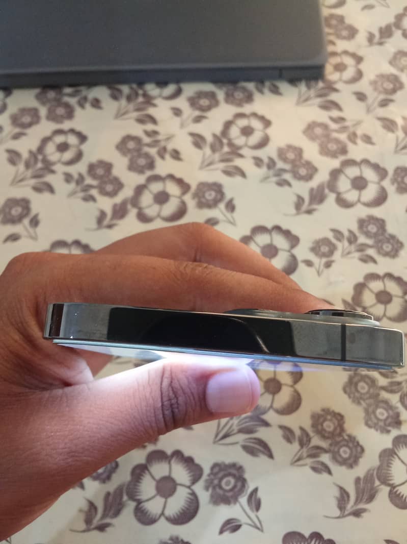 Apple iPhone 13 Pro Max 2
