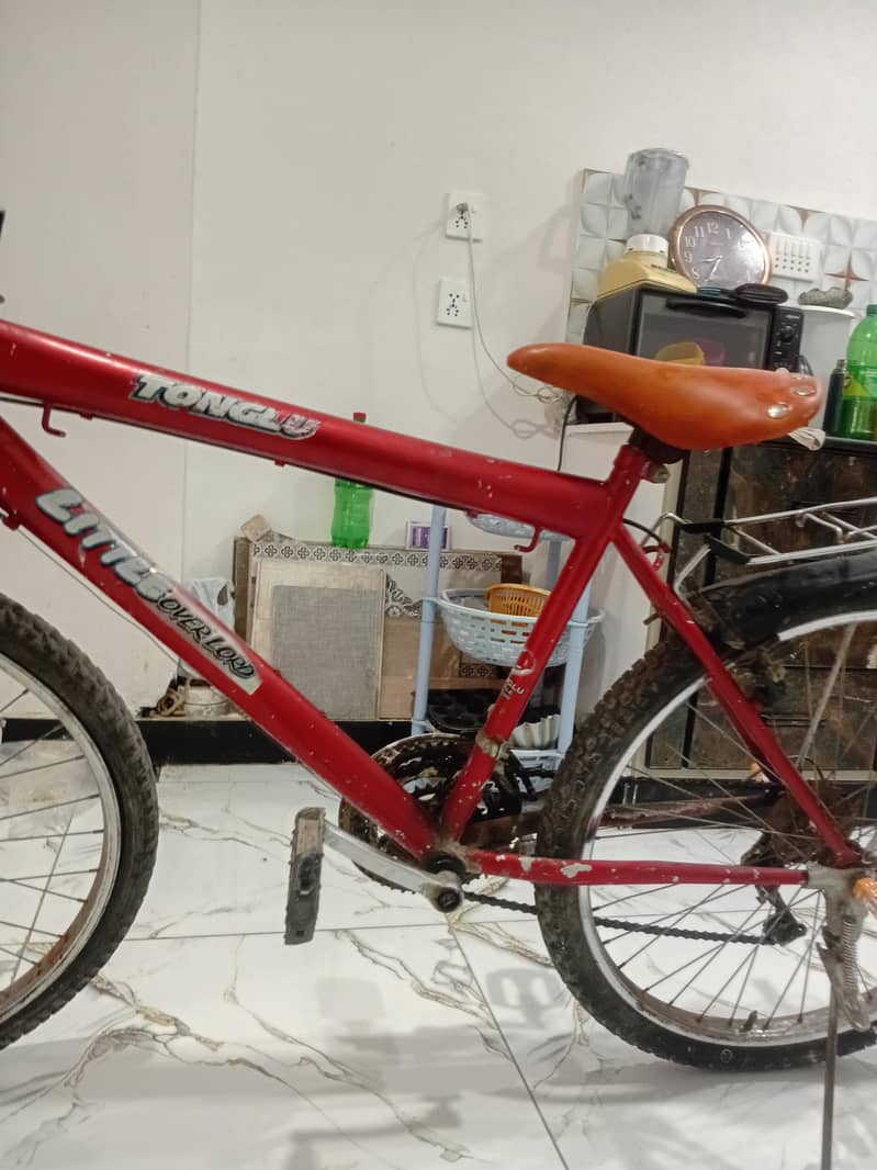 bicycle 1