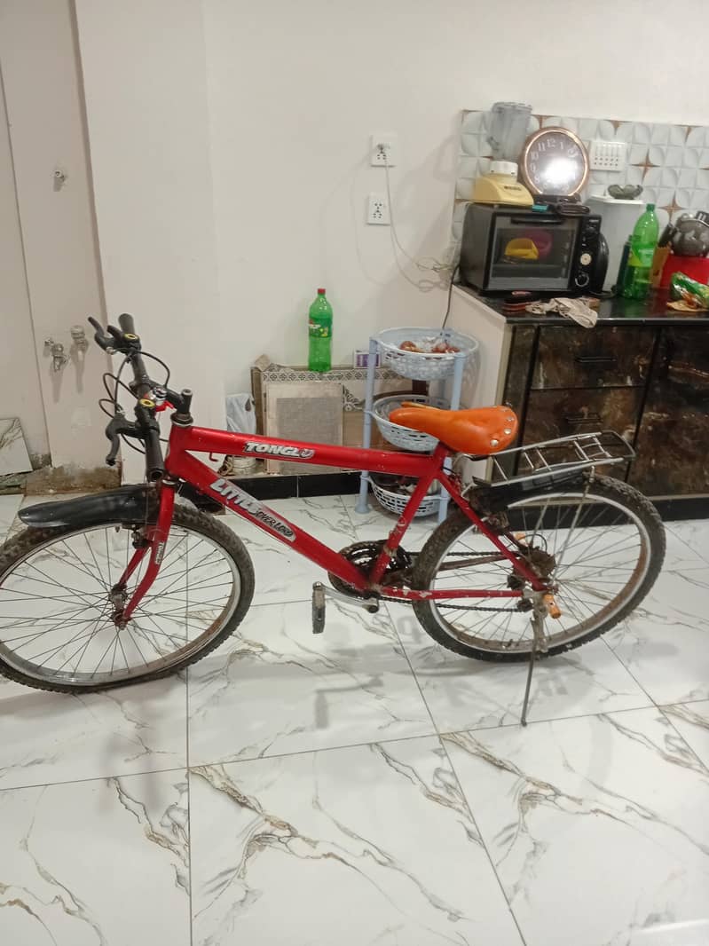 bicycle 2