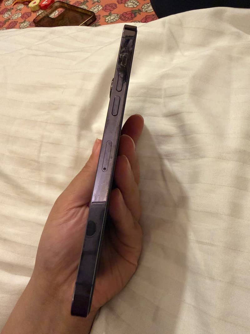 Apple iPhone 14 Pro Max 4
