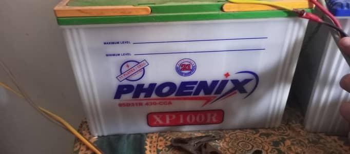 Phoenix XP 100 11plate