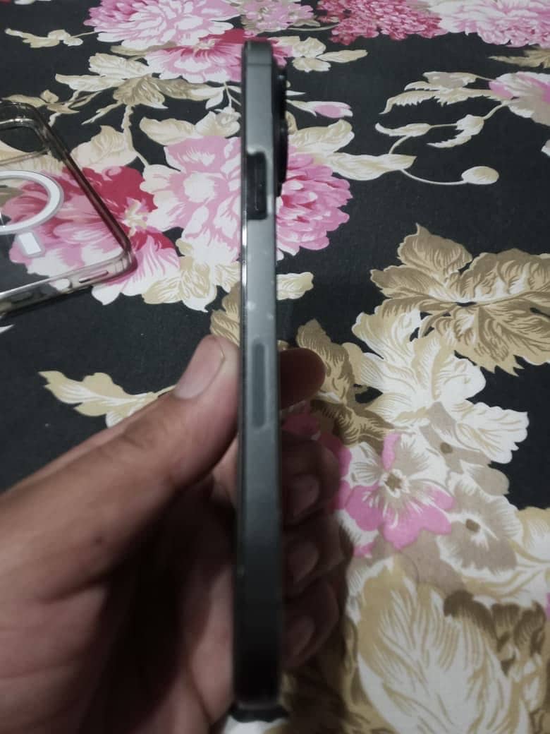 Apple iPhone 13 Pro Max 2