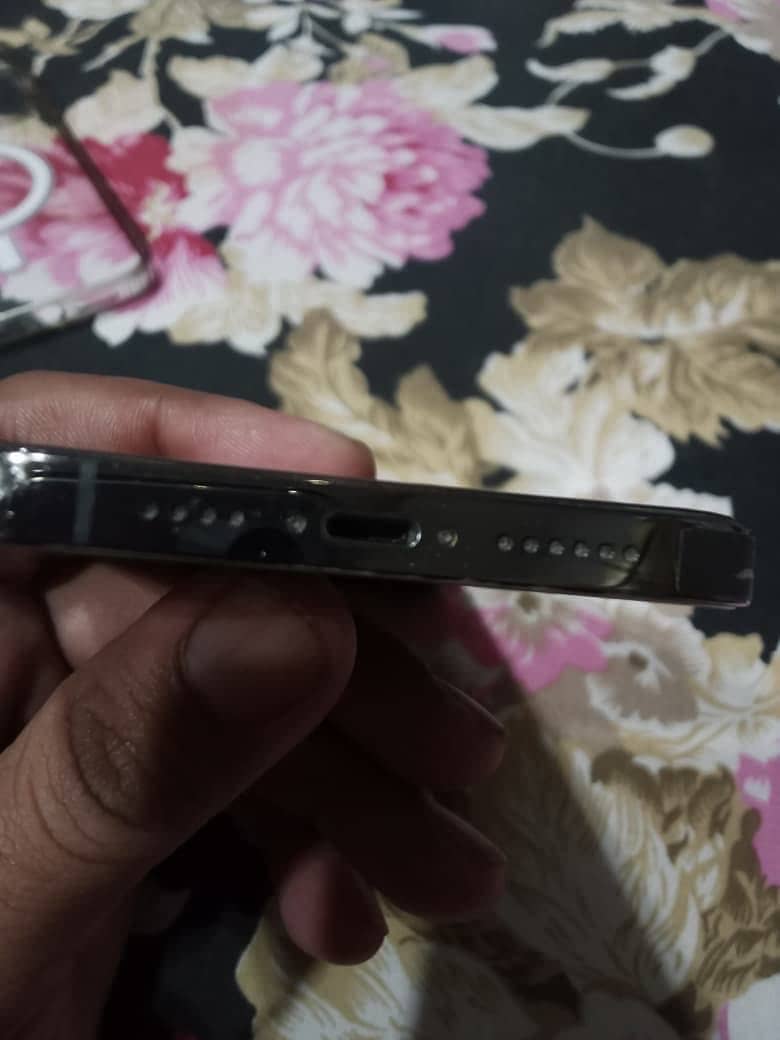 Apple iPhone 13 Pro Max 4