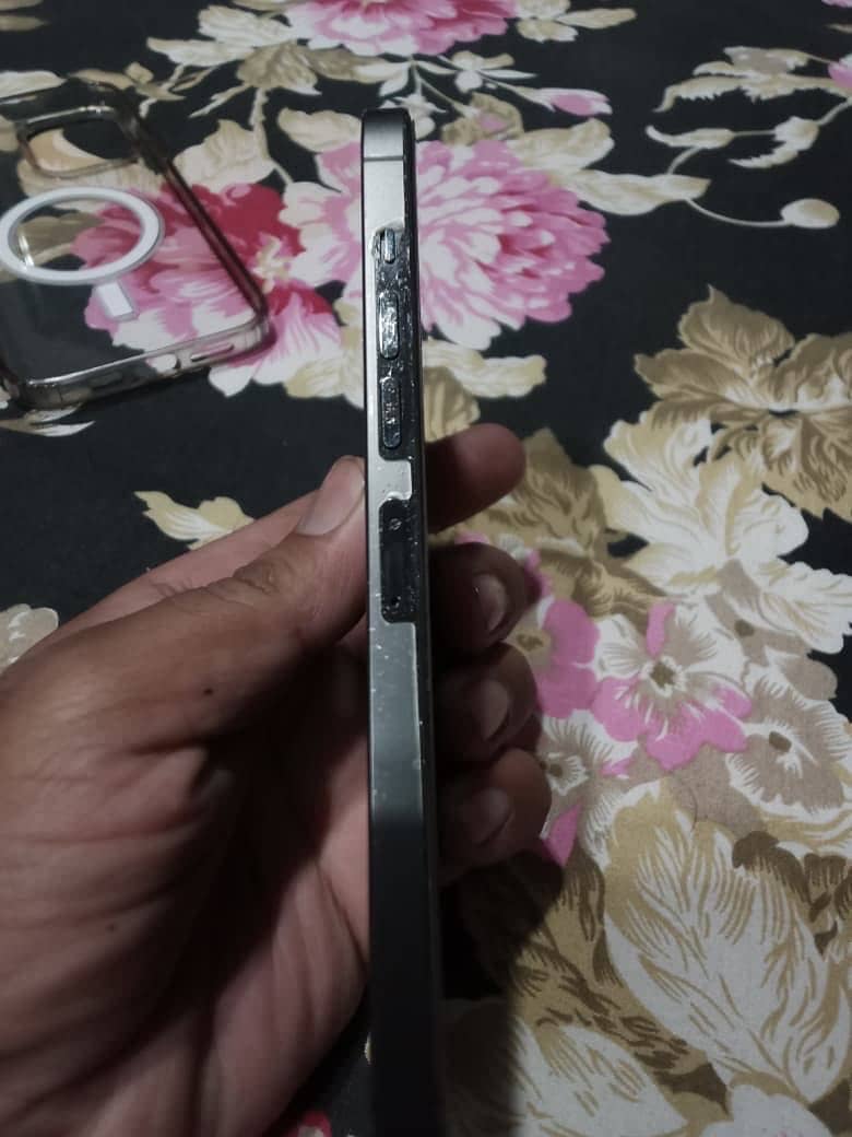 Apple iPhone 13 Pro Max 5