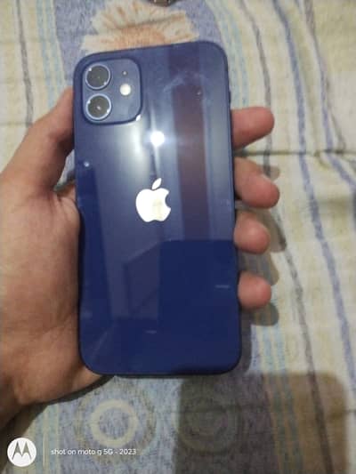 Apple iPhone 12