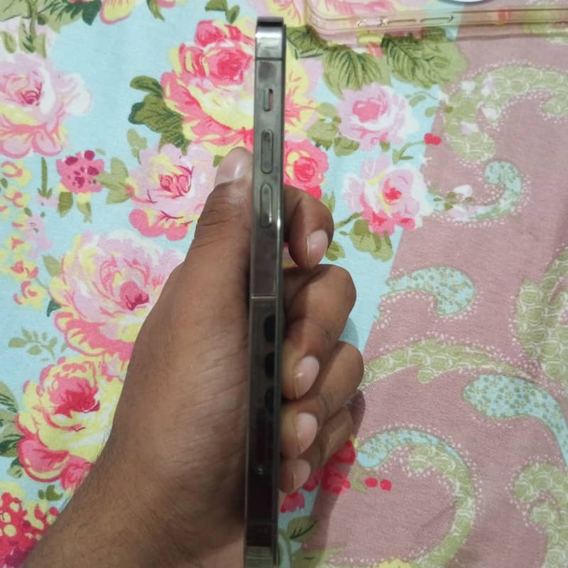 Apple iPhone 12 Pro 1