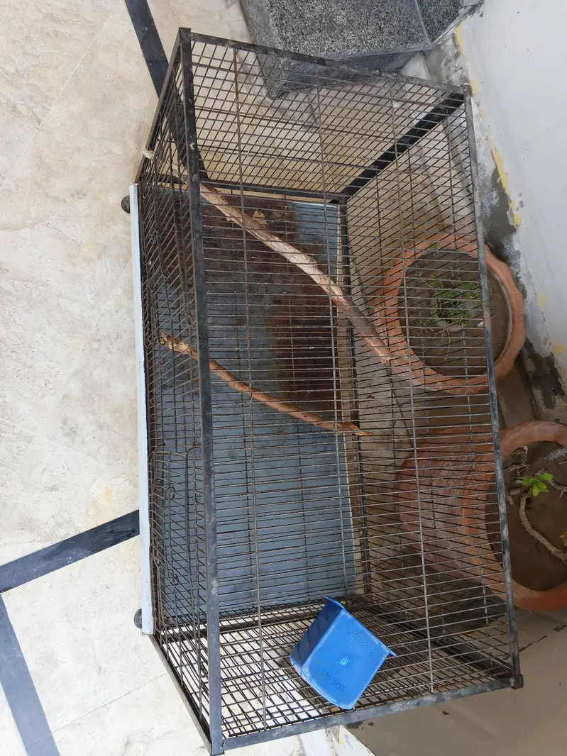 cage for sale — photo 2