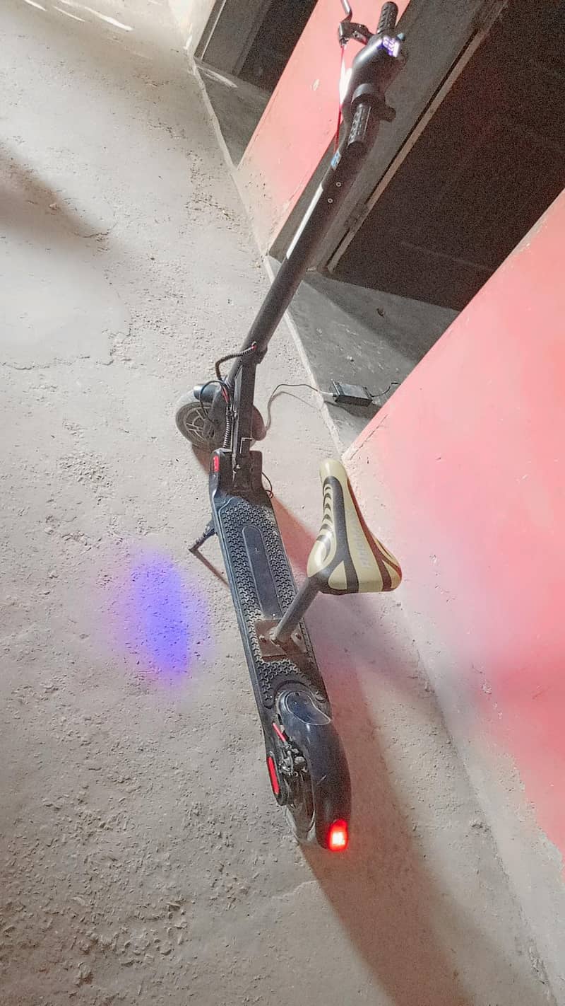 Scooty  1