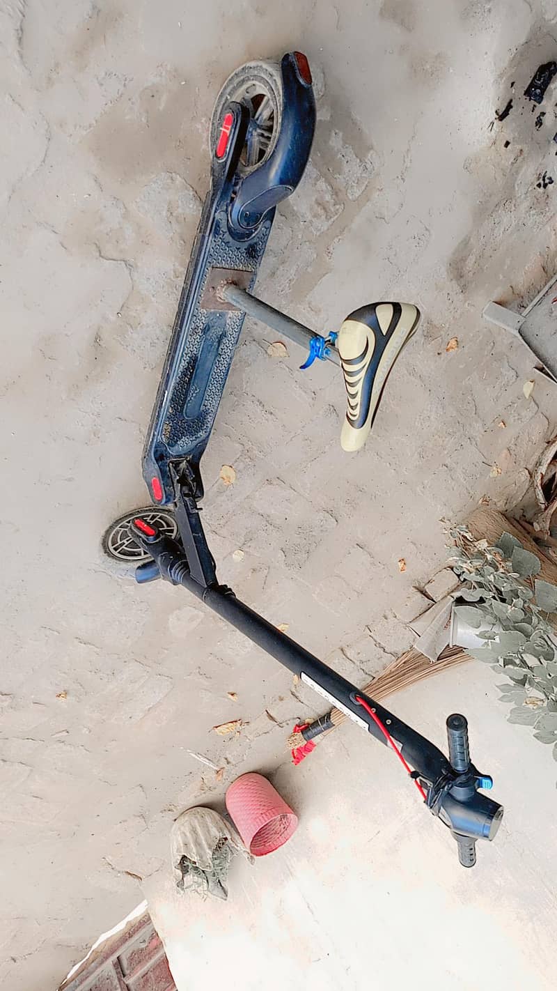 Scooty  2