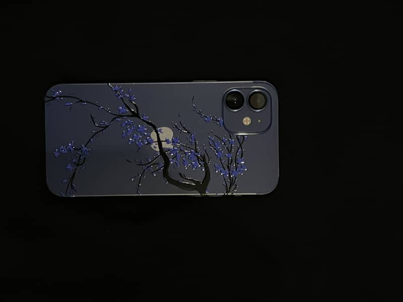 Apple iPhone 12 0