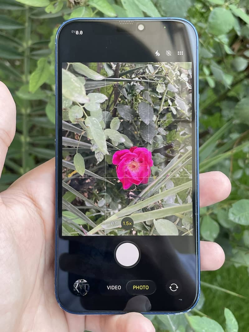 Apple iPhone 12 4