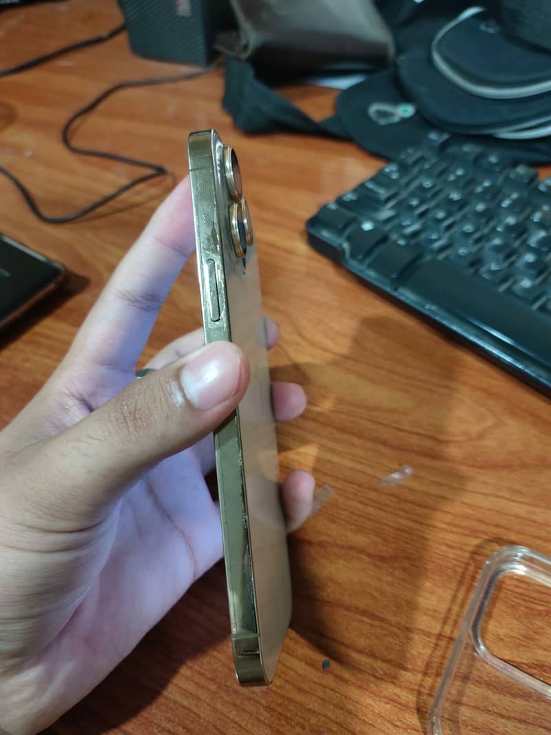 Apple iPhone 13 Pro Max 4