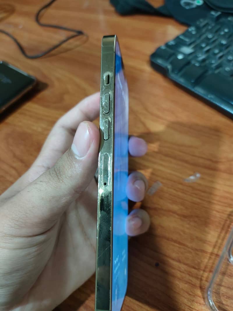 Apple iPhone 13 Pro Max 6