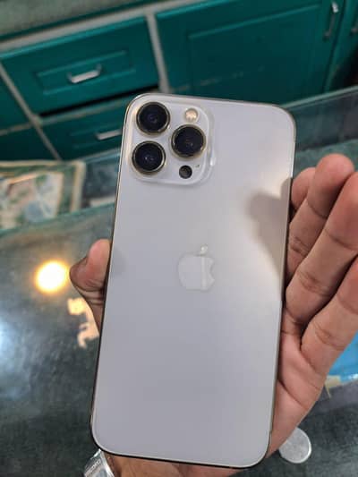 iPhone 13 Pro Max