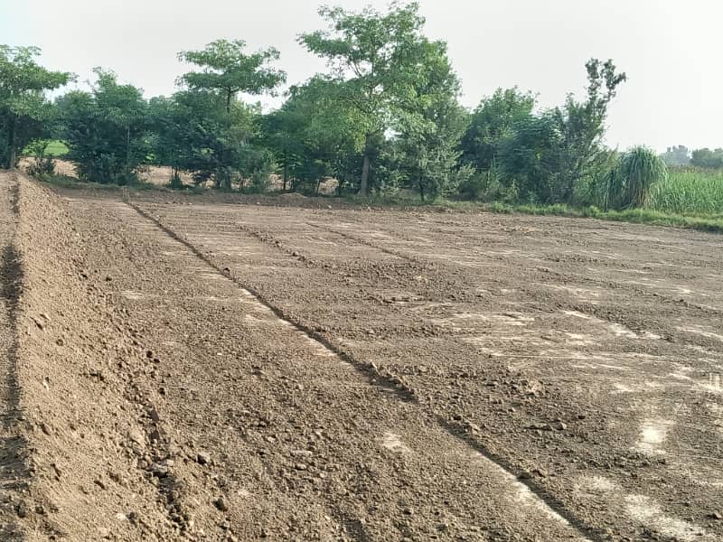 Farms house plot +resident plot 2