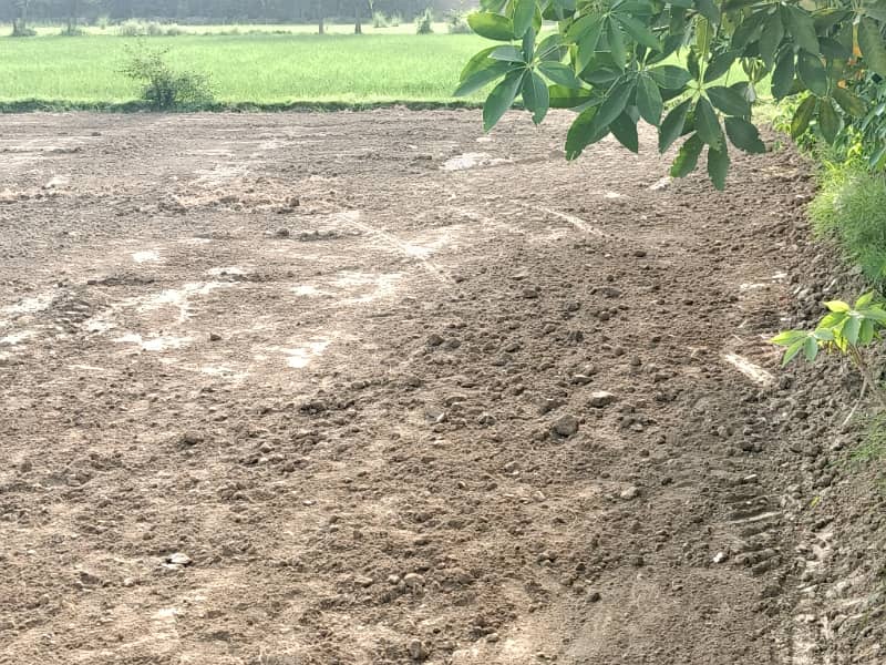 Farms house plot +resident plot 4