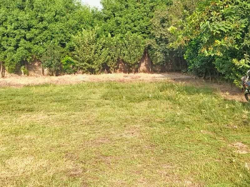 Farms house plot +resident plot 6