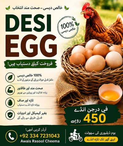 contact (+92 334 7231043)