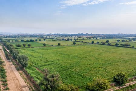 1 Kanal Farmhouse Land for Sale | Main Bedian Road | Near Ring Road | 10 Min from DHA Phase 6 & Dolmen Mall