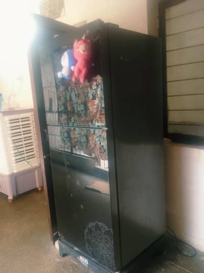 hair refrigerator