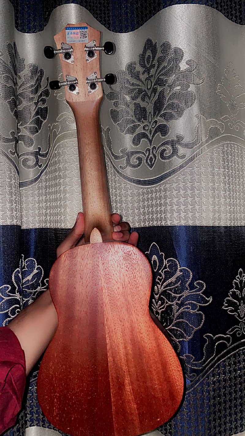 Ukulele 1