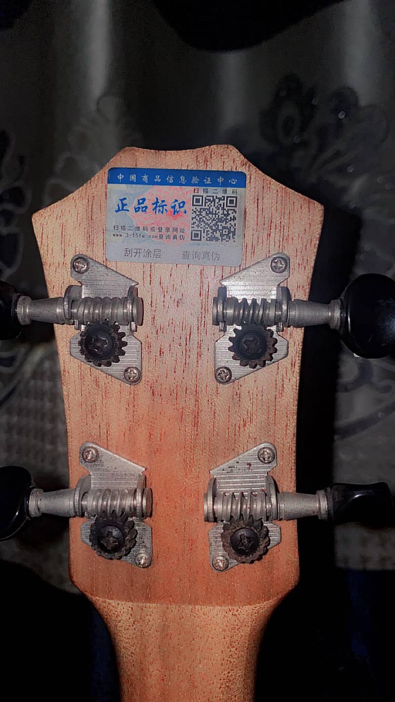 Ukulele 4