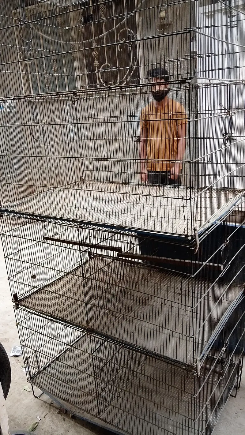 8 portion cage Master cage — photo 2
