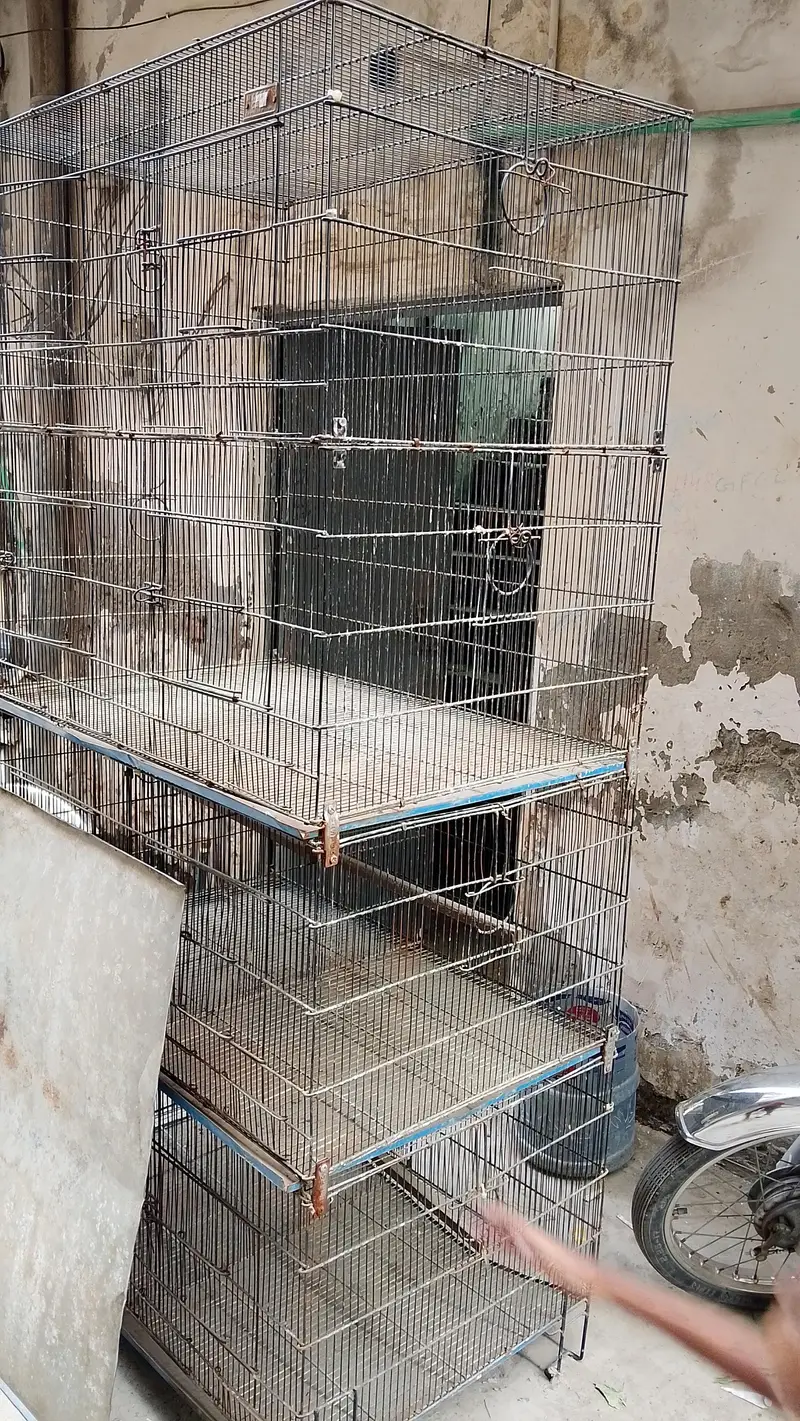 8 portion cage Master cage — photo 3