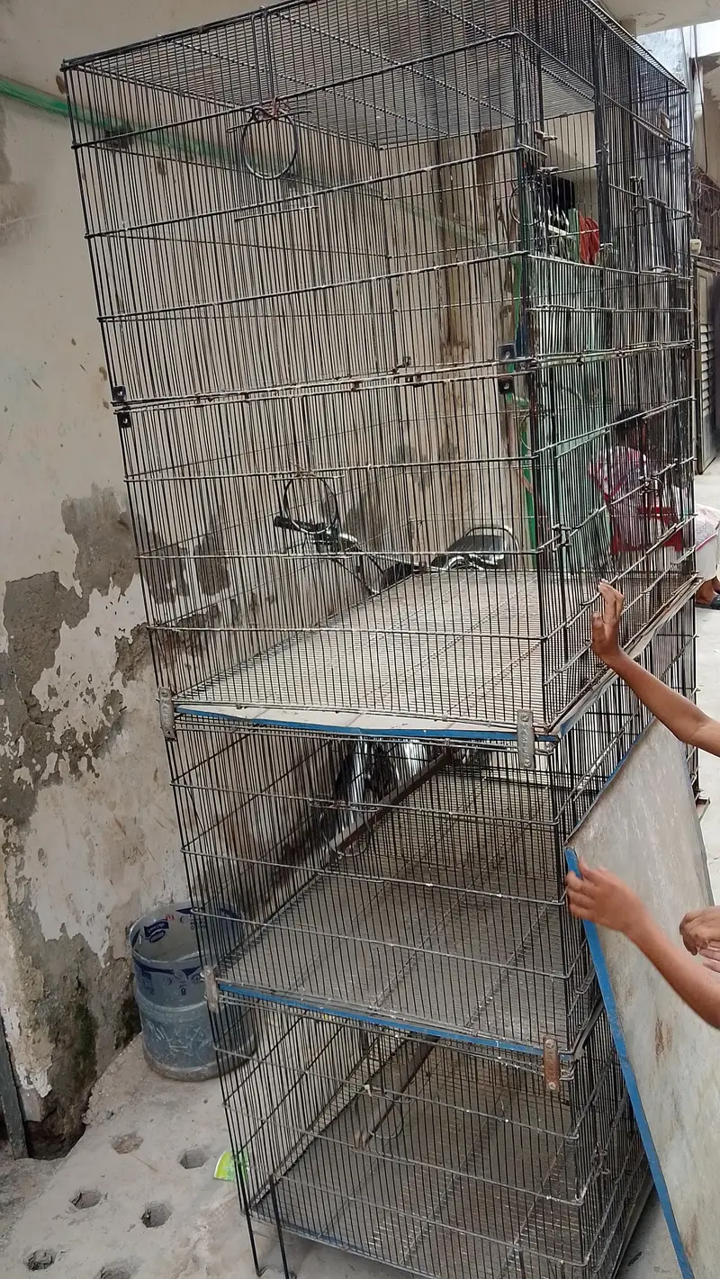 8 portion cage Master cage — photo 4