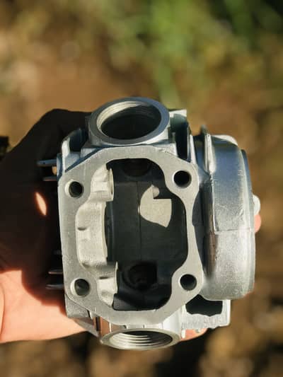 Cd70 original head