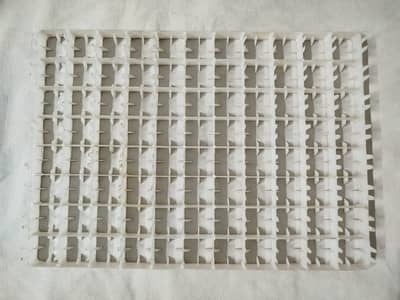 hatchery egg tray